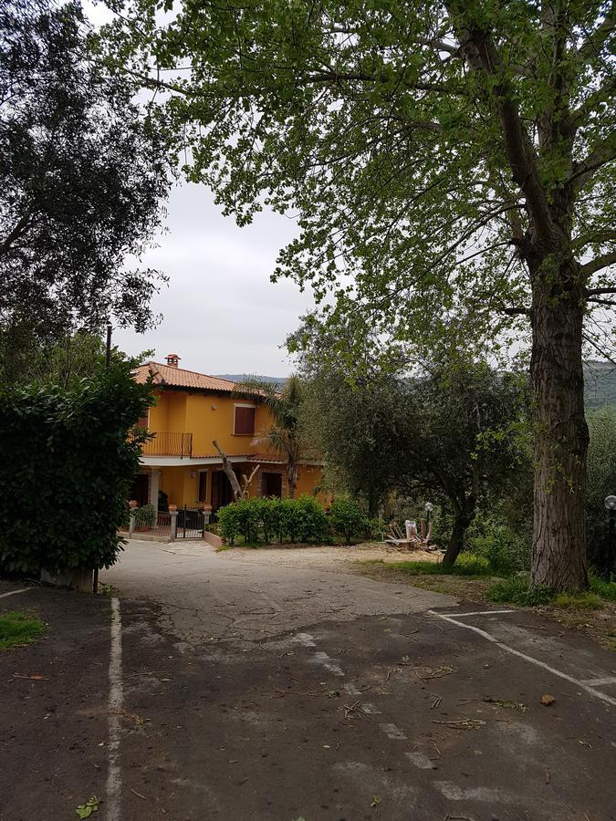 San Pietro Bed and Breakfast Mileto Exteriör bild