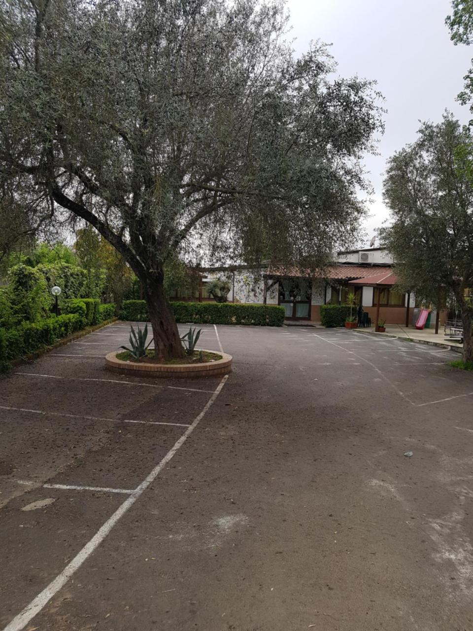 San Pietro Bed and Breakfast Mileto Exteriör bild